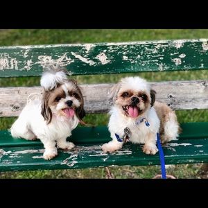 Meet your Posher, Karen